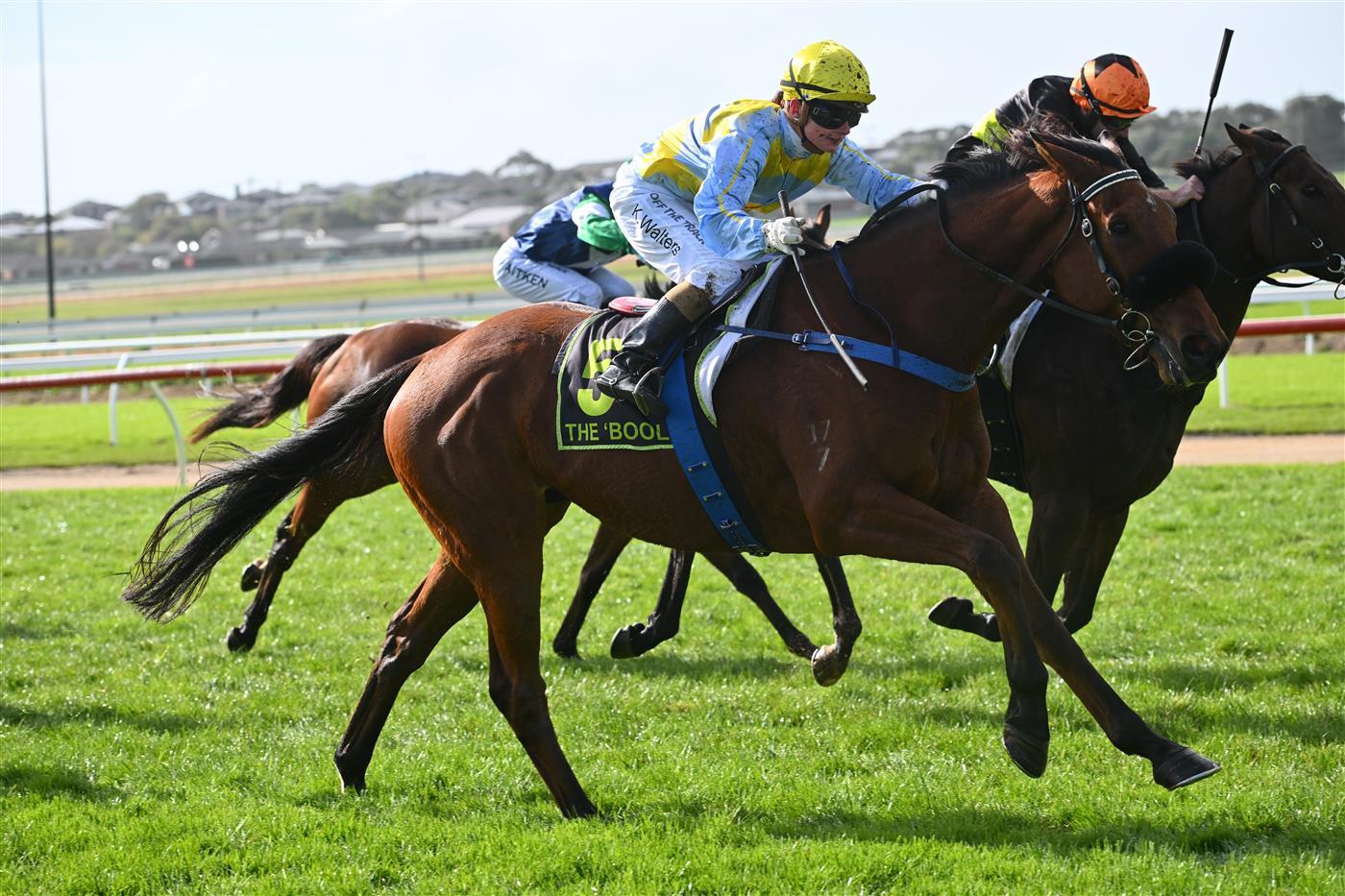 WARRNAMBOOL, AUSTRALIA - MAY 03: Kate Walters riding Delcoff winning Race 5, the Warrnambool Greyhound Cup Tonight Maiden, during Galleywood Hurdle Day on May 03, 2023 in Warrnambool, Australia. (Photo by Vince Caligiuri/Getty Images)