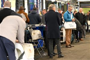 WARRNAMBOOL, AUSTRALIA - MAY 03: A general view of bookmakers during Galleywood Hurdle day at Warrnambool Racing Club on May 03, 2023 in Warrnambool, Australia. (Photo by Morgan Hancock/Getty Images)