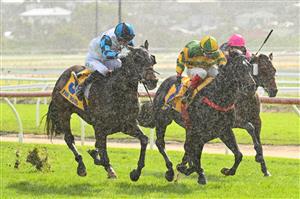 WARRNAMBOOL, AUSTRALIA - MAY 03: Ben Allen riding Scentify (L) winning Race 1, the Warrnambool City Volkswagen 2yo Open,  during Galleywood Hurdle Day on May 03, 2023 in Warrnambool, Australia. (Photo by Vince Caligiuri/Getty Images)