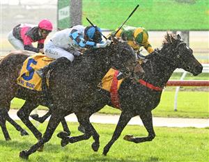 WARRNAMBOOL, AUSTRALIA - MAY 03: Ben Allen riding Scentify (L) winning Race 1, the Warrnambool City Volkswagen 2yo Open,  during Galleywood Hurdle Day on May 03, 2023 in Warrnambool, Australia. (Photo by Vince Caligiuri/Getty Images)