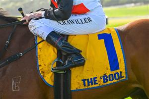 WARRNAMBOOL, AUSTRALIA - MAY 03: Nash Rawiller riding Debating after unplaced finish in Race 1, the Warrnambool City Volkswagen 2yo Open,  during Galleywood Hurdle Day on May 03, 2023 in Warrnambool, Australia. (Photo by Vince Caligiuri/Getty Images)