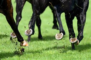WARRNAMBOOL, AUSTRALIA - MAY 03: Mud and grass is flicked up as horses and jockeys compete for position in the Warrnambool Greyhound Cup tonight Maiden Plate during Galleywood Hurdle day at Warrnambool Racing Club on May 03, 2023 in Warrnambool, Australia. (Photo by Morgan Hancock/Getty Images)