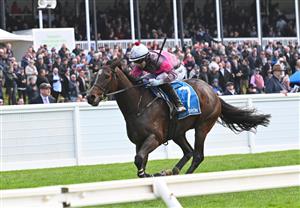 WARRNAMBOOL, AUSTRALIA - MAY 03: Will Gordon riding Tolemac winning Race 4, the Decron Dunroe Bm120 Steeplechase, during Galleywood Hurdle Day on May 03, 2023 in Warrnambool, Australia. (Photo by Vince Caligiuri/Getty Images)