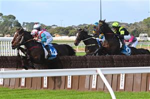 WARRNAMBOOL, AUSTRALIA - MAY 03: Will Gordon riding Tolemac (far Left ) jumps during winning Race 4, the Decron Dunroe Bm120 Steeplechase, during Galleywood Hurdle Day on May 03, 2023 in Warrnambool, Australia. (Photo by Vince Caligiuri/Getty Images)