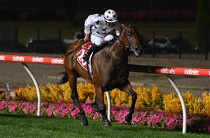 WATCH: Sunlight's brother records strong debut win