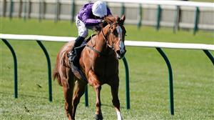 2023 1000 Guineas Tips -Two selections for Sunday's Classic