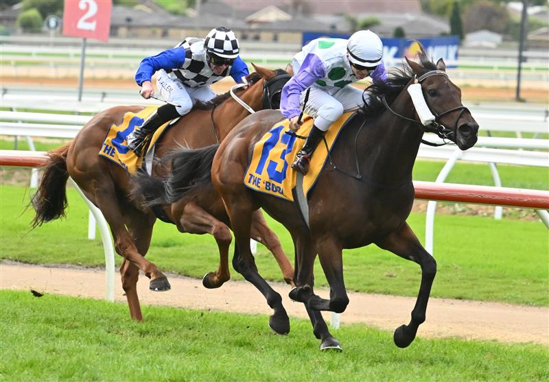 WARRNAMBOOL, AUSTRALIA - MAY 04: Harry Grace riding Rolls winning Race 9, the Sungold Milk Warrnambool Cup, during Grand Annual Day at Warrnambool Racing Club on May 04, 2023 in Warrnambool, Australia. (Photo by Vince Caligiuri/Getty Images)