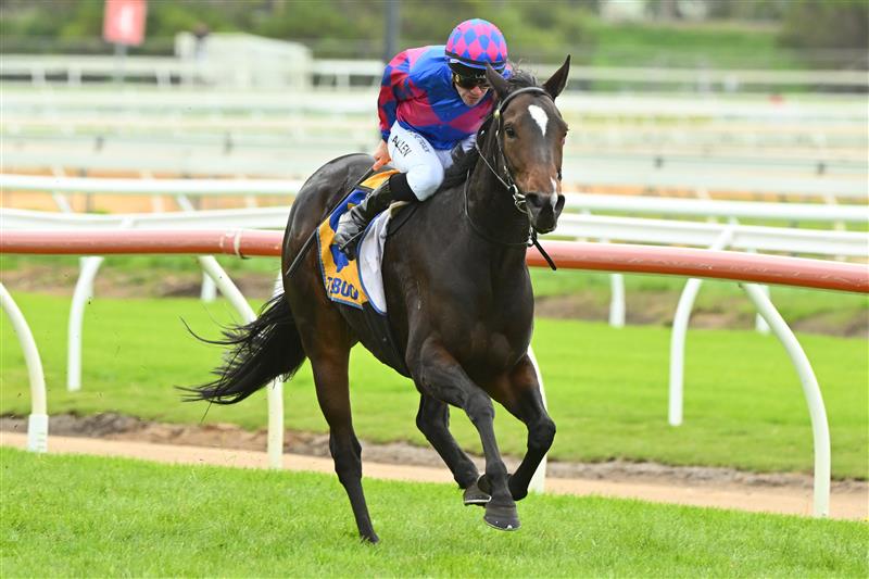 WARRNAMBOOL, AUSTRALIA - MAY 04: John Allen riding Our August Rose winning Race 4, the Catanach's Jewellers F&M BM70 Handicap at Warrnambool Racing Club on May 04, 2023 in Warrnambool, Australia. (Getty)