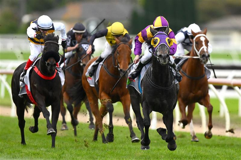 WARRNAMBOOL, AUSTRALIA - MAY 04: Linda Meech rides Pythagoras to victory in the No Fuss Event Hire BM64 Handicap during Grand Annual Day at Warrnambool Racing Club on May 04, 2023 in Warrnambool, Australia. (Photo by Morgan Hancock/Getty Images)