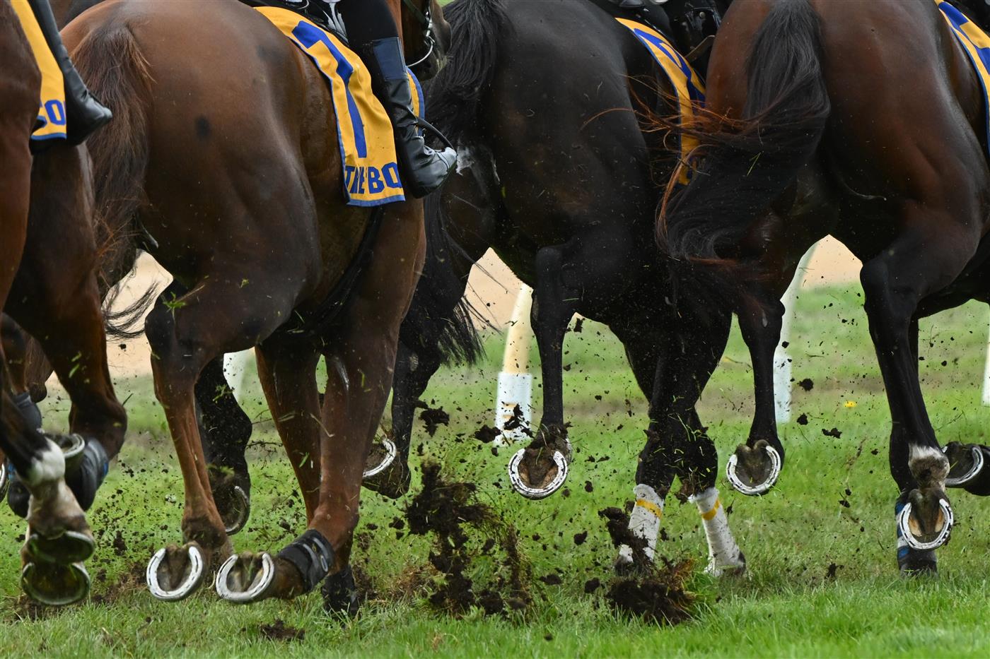 WARRNAMBOOL, AUSTRALIA - MAY 04: General view of horses hooves in the heavy track during Grand Annual Day at Warrnambool Racing Club on May 04, 2023 in Warrnambool, Australia. (Photo by Vince Caligiuri/Getty Images)