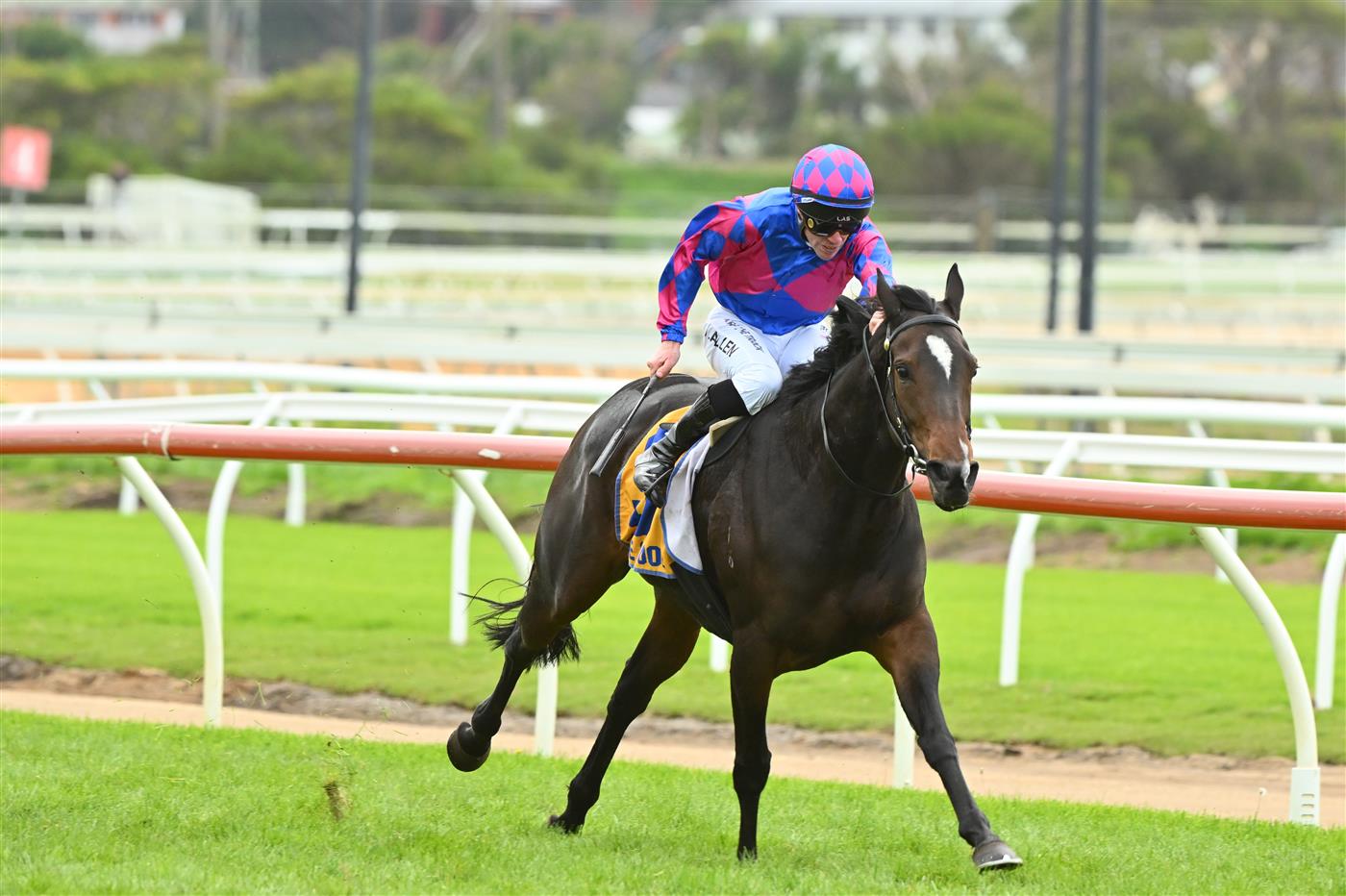 WARRNAMBOOL, AUSTRALIA - MAY 04: John Allen riding Our August Rose winning Race 4, the Catanach's Jewellers F&M BM70 Handicap at Warrnambool Racing Club on May 04, 2023 in Warrnambool, Australia. (Getty)