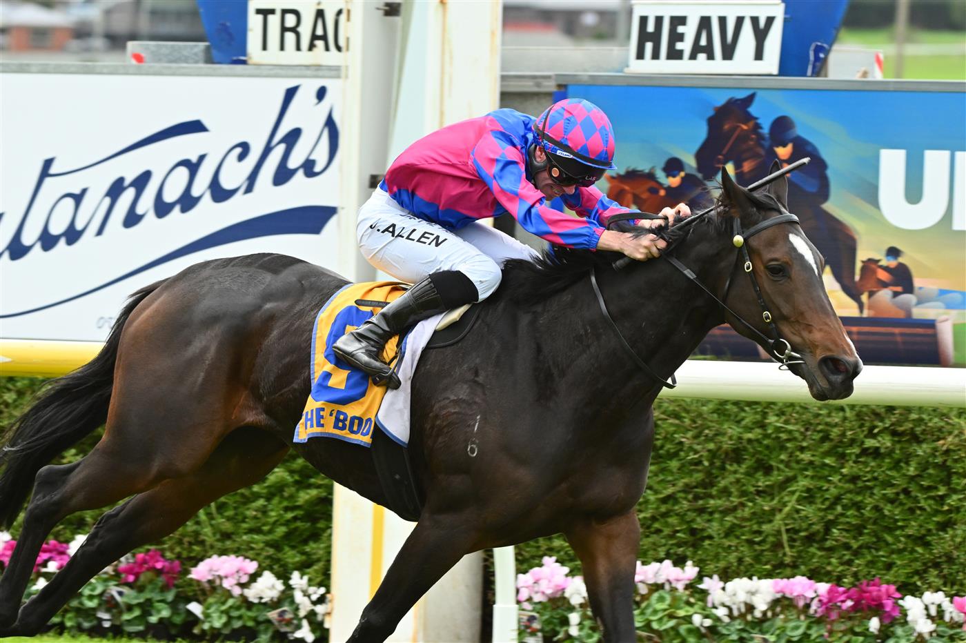 WARRNAMBOOL, AUSTRALIA - MAY 04: John Allen riding Our August Rose winning Race 4, the Catanach's Jewellers F&M BM70 Handicap at Warrnambool Racing Club on May 04, 2023 in Warrnambool, Australia. (Getty)
