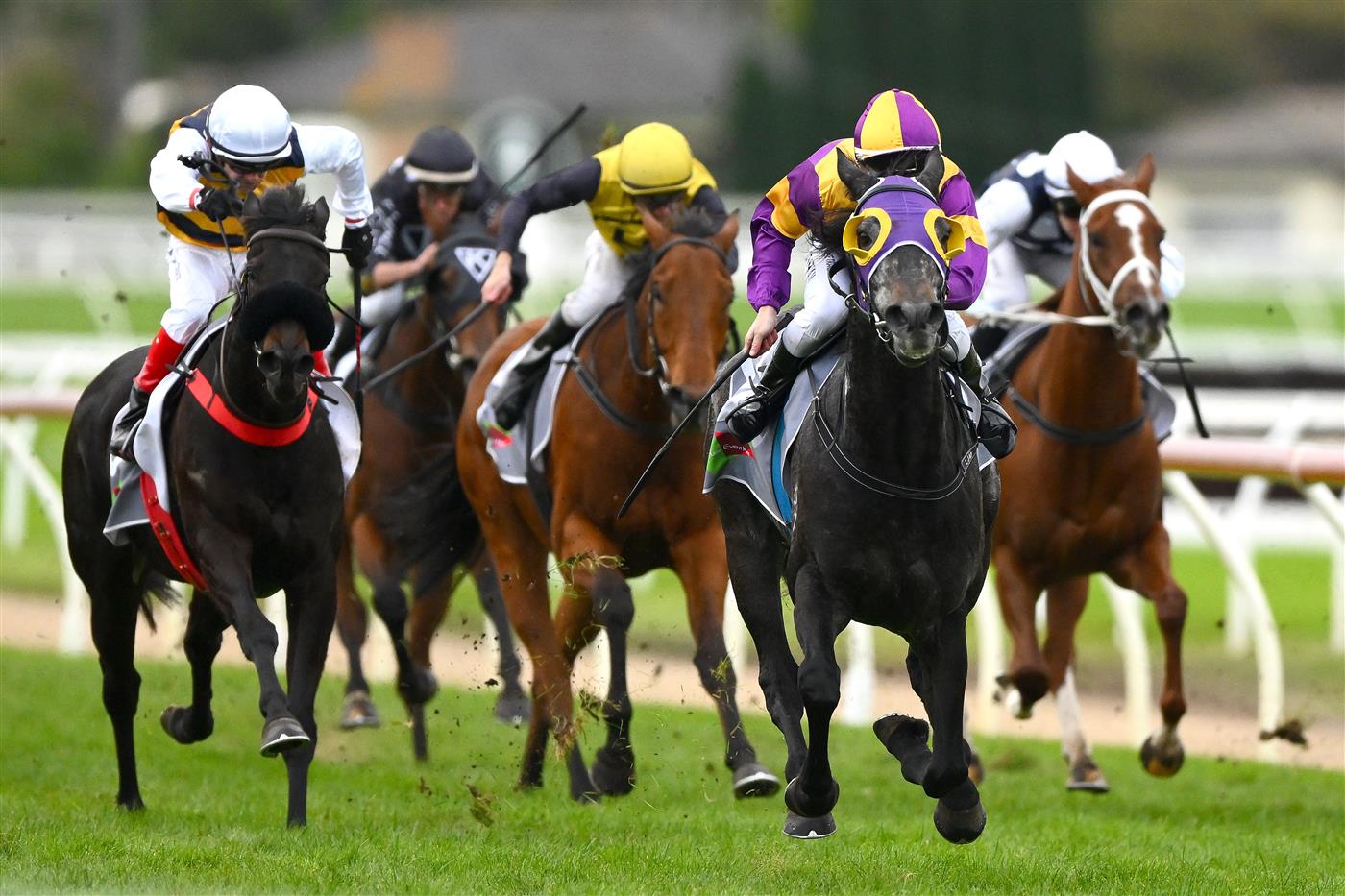 WARRNAMBOOL, AUSTRALIA - MAY 04: Linda Meech rides Pythagoras to victory in the No Fuss Event Hire BM64 Handicap during Grand Annual Day at Warrnambool Racing Club on May 04, 2023 in Warrnambool, Australia. (Photo by Morgan Hancock/Getty Images)