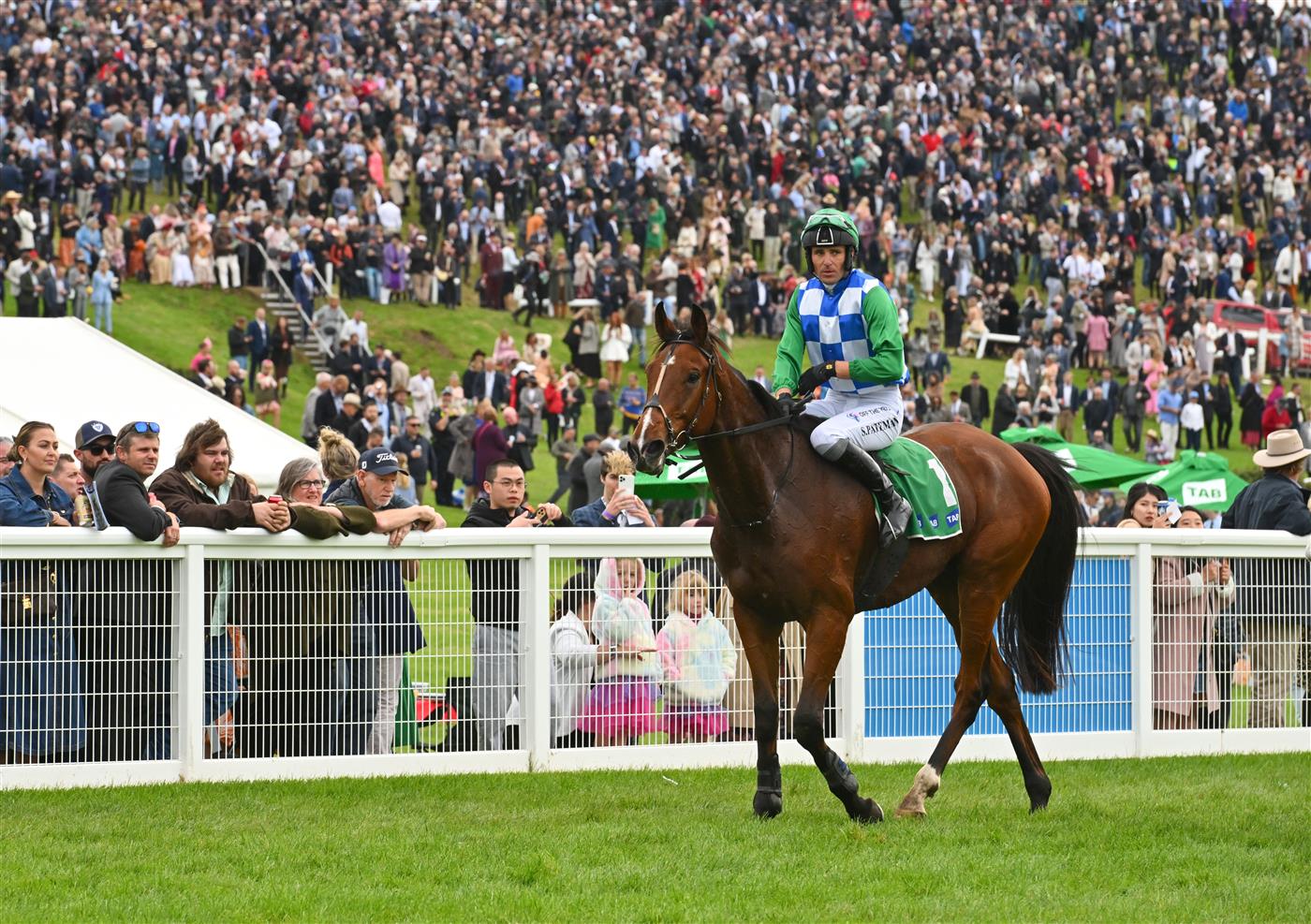 WARRNAMBOOL, AUSTRALIA - MAY 04: Steven Pateman riding Stern Idol after not completing the race in Race 7, the Brandt Grand Annual Steeplechase,  during Grand Annual Day at Warrnambool Racing Club on May 04, 2023 in Warrnambool, Australia. (Photo by Vince Caligiuri/Getty Images)