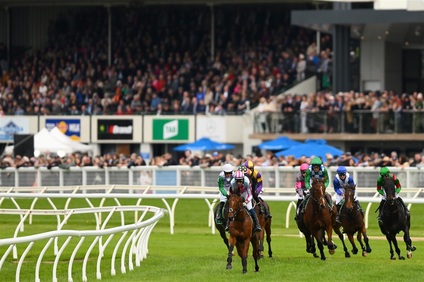 WARRNAMBOOL, AUSTRALIA - MAY 04: Rockstar Ronnie ridden by Chris McCarthy leads the pack in the Brandt Grand Annual Steeplechase during Grand Annual Day at Warrnambool Racing Club on May 04, 2023 in Warrnambool, Australia. (Photo by Morgan Hancock/Getty Images)