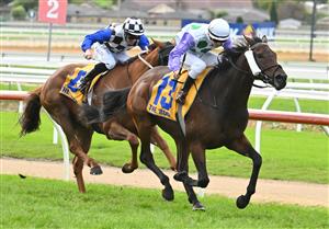 WARRNAMBOOL, AUSTRALIA - MAY 04: Harry Grace riding Rolls winning Race 9, the Sungold Milk Warrnambool Cup, during Grand Annual Day at Warrnambool Racing Club on May 04, 2023 in Warrnambool, Australia. (Photo by Vince Caligiuri/Getty Images)