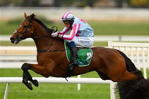 WARRNAMBOOL, AUSTRALIA - MAY 04: Rockstar Ronnie ridden by Chris McCarthy leaps over a hurdle as it wins the Brandt Grand Annual Steeplechase during Grand Annual Day at Warrnambool Racing Club on May 04, 2023 in Warrnambool, Australia. (Photo by Morgan Hancock/Getty Images)