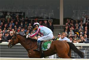 WARRNAMBOOL, AUSTRALIA - MAY 04: Chris McCarthy riding Rockstar Ronnie winning Race 7, the Brandt Grand Annual Steeplechase,  during Grand Annual Day at Warrnambool Racing Club on May 04, 2023 in Warrnambool, Australia. (Photo by Vince Caligiuri/Getty Images)