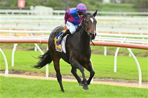 WARRNAMBOOL, AUSTRALIA - MAY 04: John Allen riding Our August Rose winning Race 4, the Catanach's Jewellers F&M BM70 Handicap at Warrnambool Racing Club on May 04, 2023 in Warrnambool, Australia. (Getty)