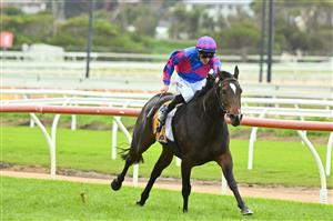 WARRNAMBOOL, AUSTRALIA - MAY 04: John Allen riding Our August Rose winning Race 4, the Catanach's Jewellers F&M BM70 Handicap at Warrnambool Racing Club on May 04, 2023 in Warrnambool, Australia. (Getty)