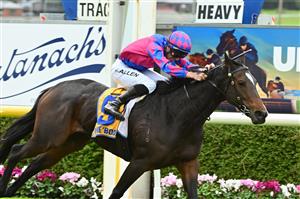 WARRNAMBOOL, AUSTRALIA - MAY 04: John Allen riding Our August Rose winning Race 4, the Catanach's Jewellers F&M BM70 Handicap at Warrnambool Racing Club on May 04, 2023 in Warrnambool, Australia. (Getty)
