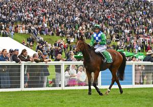 WARRNAMBOOL, AUSTRALIA - MAY 04: Steven Pateman riding Stern Idol after not completing the race in Race 7, the Brandt Grand Annual Steeplechase,  during Grand Annual Day at Warrnambool Racing Club on May 04, 2023 in Warrnambool, Australia. (Photo by Vince Caligiuri/Getty Images)