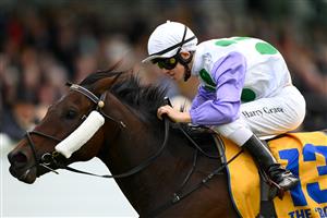WARRNAMBOOL, AUSTRALIA - MAY 04: Harry Grace rides Rolls to victory in the Sungold Milk Warrnambool Cup during Grand Annual Day at Warrnambool Racing Club on May 04, 2023 in Warrnambool, Australia. (Photo by Morgan Hancock/Getty Images)