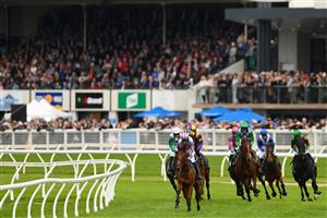 WARRNAMBOOL, AUSTRALIA - MAY 04: Rockstar Ronnie ridden by Chris McCarthy leads the pack in the Brandt Grand Annual Steeplechase during Grand Annual Day at Warrnambool Racing Club on May 04, 2023 in Warrnambool, Australia. (Photo by Morgan Hancock/Getty Images)