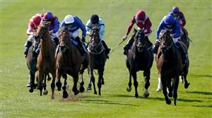 2023 2000 Guineas Final Field and Draw - 14 colts confirmed for Newmarket Classic