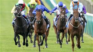 2023 Jockey Club Stakes Tips - Appleby's colt to cause a Storm at Newmarket