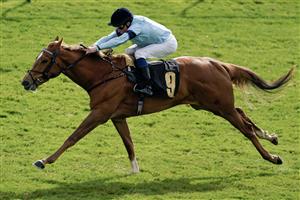 NEWMARKET, ENGLAND - MAY 05: William Buick riding Soprano win The British EBF Maiden Fillies' Stakes at Newmarket Racecourse on May 05, 2023 in Newmarket, England. (Photo by Alan Crowhurst/Getty Images)