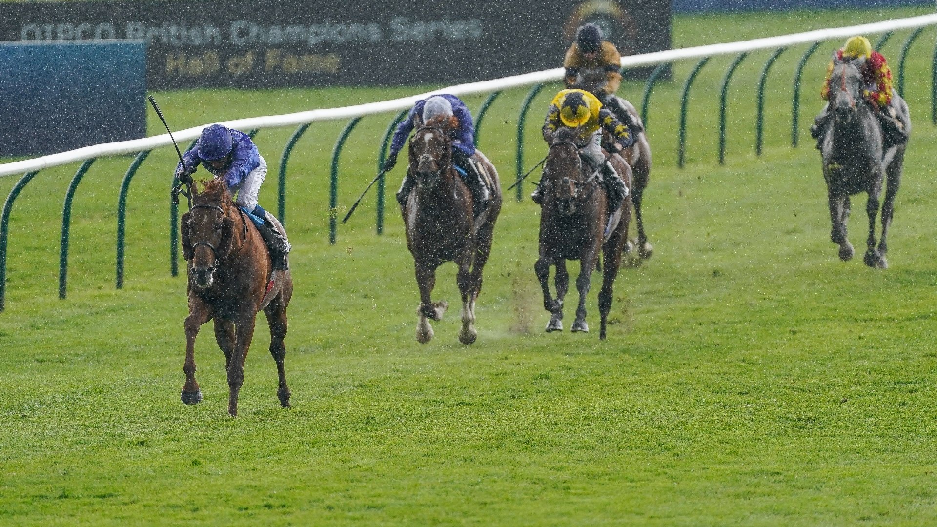 Newmarket photos results May 5th