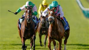 2000 Guineas Day Market Movers - Four big movers at Newmarket and Thirsk