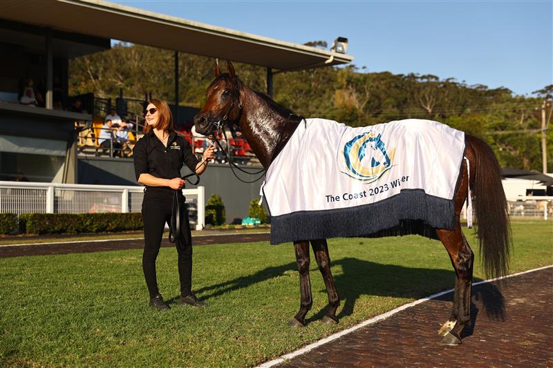 GOSFORD, AUSTRALIA - MAY 06: The strapper for Kerrin Mcevoy riding HHH Palmetto  is seen Race 8 The Coast during "Gosford Gold Cup" - Sydney Racing at Gosford Racecourse on May 06, 2023 in Gosford, Australia. (Photo by Jeremy Ng/Getty Images)