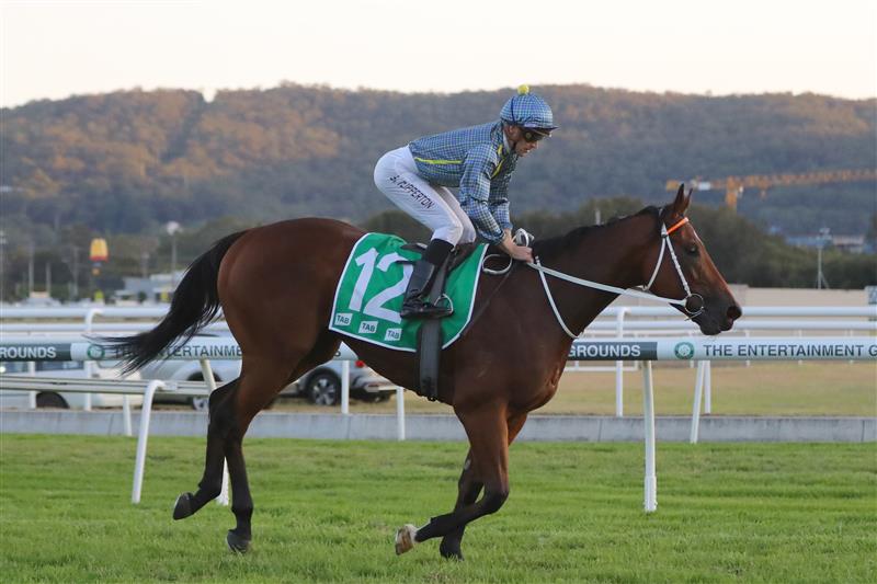 GOSFORD, AUSTRALIA - MAY 06: Sam Clipperton
riding Flag Of Honour  wins Race 10 Gosford It (Bm78) during "Gosford Gold Cup" - Sydney Racing at Gosford Racecourse on May 06, 2023 in Gosford, Australia. (Photo by Jeremy Ng/Getty Images)