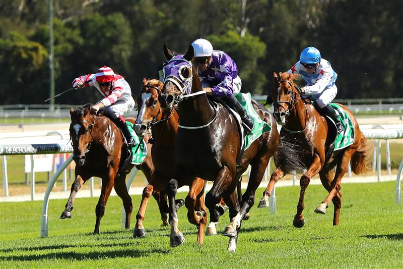 GOSFORD, AUSTRALIA - MAY 06: Sam Clipperton riding Chrysaor 
 wins Race 1 Thymely Food Co Handicap during "Gosford Gold Cup" - Sydney Racing at Gosford Racecourse on May 06, 2023 in Gosford, Australia. (Photo by Jeremy Ng/Getty Images)