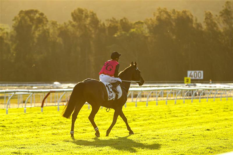 GOSFORD, AUSTRALIA - MAY 06: Jay Ford riding Esti Feny wins Race 9 the Buterin L'Estrange Gosford Gold Cup during NSW Racing at Gosford Racecourse on May 06, 2023 in Gosford, Australia. (Getty)