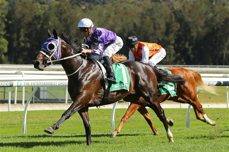 GOSFORD, AUSTRALIA - MAY 06: Sam Clipperton riding Chrysaor 
 wins Race 1 Thymely Food Co Handicap during "Gosford Gold Cup" - Sydney Racing at Gosford Racecourse on May 06, 2023 in Gosford, Australia. (Photo by Jeremy Ng/Getty Images)
