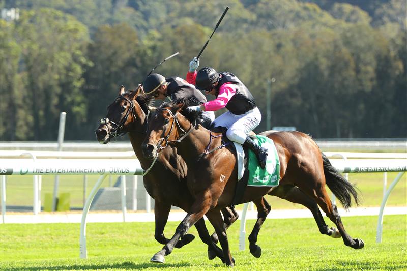 GOSFORD, AUSTRALIA - MAY 06: Brett Prebble riding  Token Capitalist wins Race 4 Tooheys during "Gosford Gold Cup" - Sydney Racing at Gosford Racecourse on May 06, 2023 in Gosford, Australia. (Photo by Jeremy Ng/Getty Images)