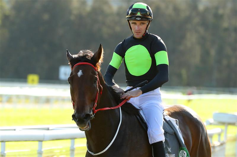 GOSFORD, AUSTRALIA - MAY 06: Sam Clipperton riding Think About It wins  Race 7 De Bortoli Takeover Target during "Gosford Gold Cup" - Sydney Racing at Gosford Racecourse on May 06, 2023 in Gosford, Australia. (Photo by Jeremy Ng/Getty Images)