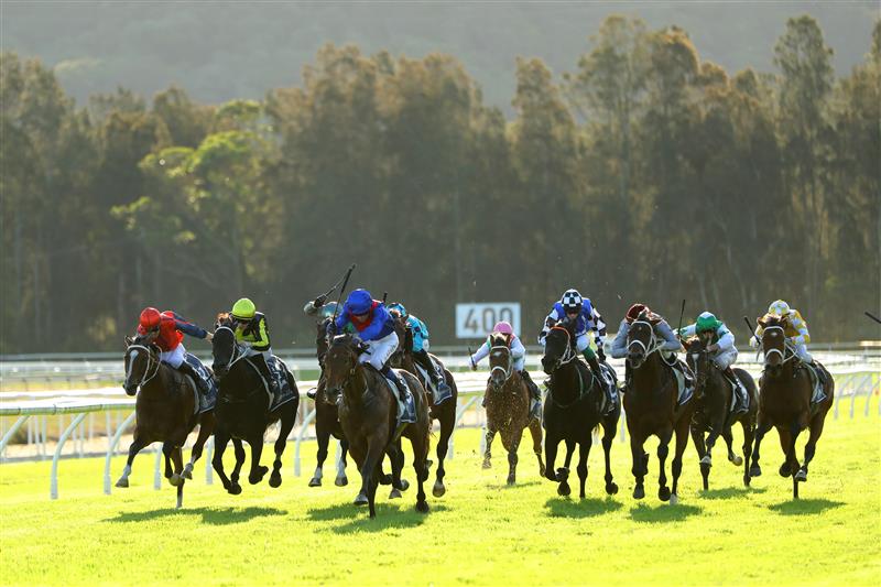 GOSFORD, AUSTRALIA - MAY 06: Kerrin Mcevoy riding Palmetto wins Race 8 The Coast during "Gosford Gold Cup" - Sydney Racing at Gosford Racecourse on May 06, 2023 in Gosford, Australia. (Photo by Jeremy Ng/Getty Images)