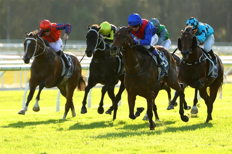 GOSFORD, AUSTRALIA - MAY 06: Kerrin Mcevoy riding Palmetto wins Race 8 The Coast during "Gosford Gold Cup" - Sydney Racing at Gosford Racecourse on May 06, 2023 in Gosford, Australia. (Photo by Jeremy Ng/Getty Images)