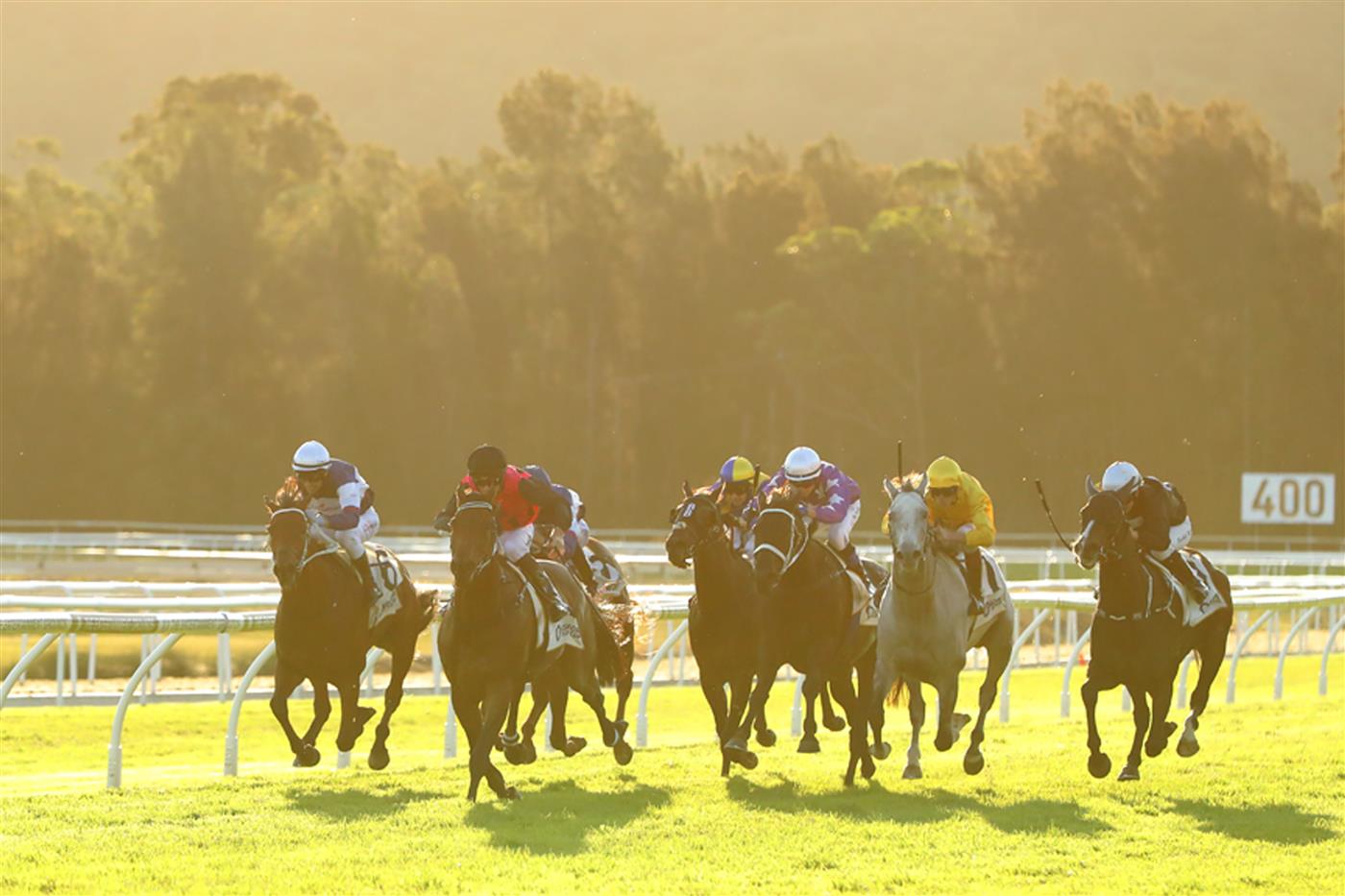 GOSFORD, AUSTRALIA - MAY 06: Jay Ford riding Esti Feny wins Race 9 the Buterin L'Estrange Gosford Gold Cup during NSW Racing at Gosford Racecourse on May 06, 2023 in Gosford, Australia. (Getty)