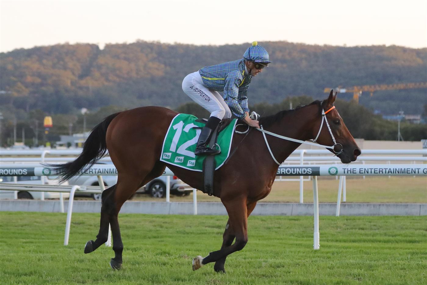GOSFORD, AUSTRALIA - MAY 06: Sam Clipperton
riding Flag Of Honour  wins Race 10 Gosford It (Bm78) during "Gosford Gold Cup" - Sydney Racing at Gosford Racecourse on May 06, 2023 in Gosford, Australia. (Photo by Jeremy Ng/Getty Images)