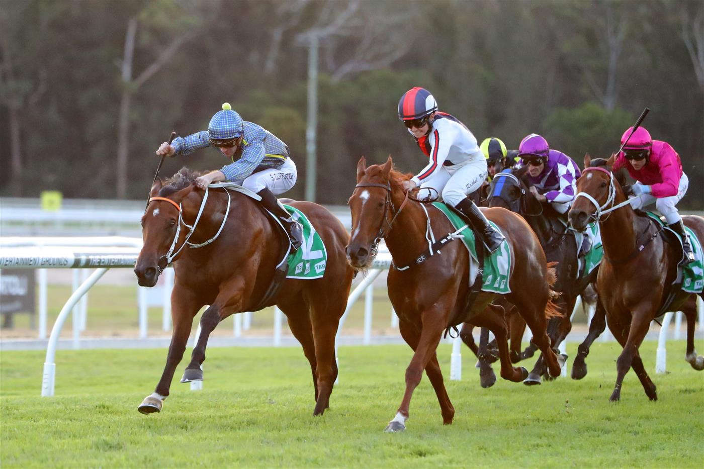 GOSFORD, AUSTRALIA - MAY 06: Sam Clipperton riding Flag Of Honour  wins Race 10 Gosford It (Bm78) during "Gosford Gold Cup" - Sydney Racing at Gosford Racecourse on May 06, 2023 in Gosford, Australia. (Photo by Jeremy Ng/Getty Images)