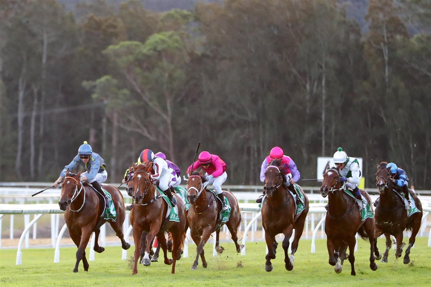 GOSFORD, AUSTRALIA - MAY 06: Sam Clipperton
riding Flag Of Honour  wins Race 10 Gosford It (Bm78) during "Gosford Gold Cup" - Sydney Racing at Gosford Racecourse on May 06, 2023 in Gosford, Australia. (Photo by Jeremy Ng/Getty Images)