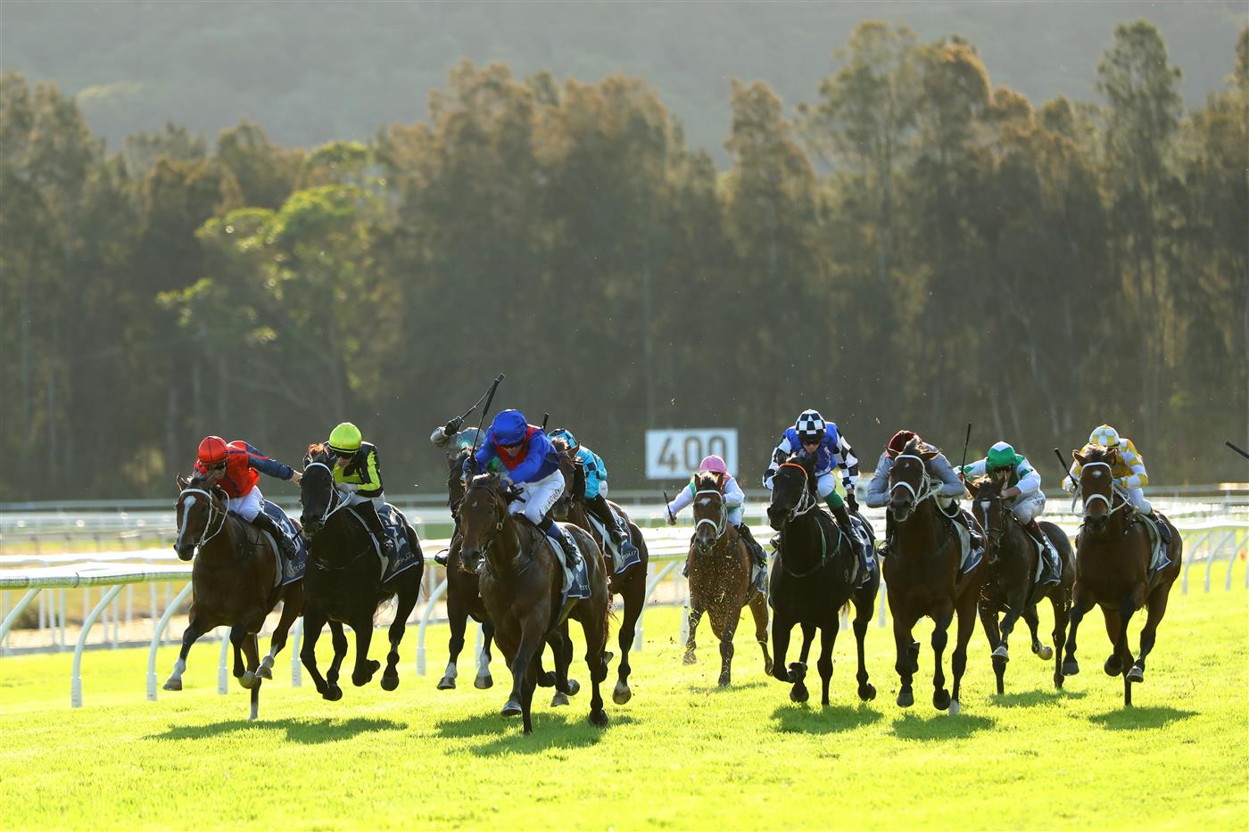 GOSFORD, AUSTRALIA - MAY 06: Kerrin Mcevoy riding Palmetto wins Race 8 The Coast during "Gosford Gold Cup" - Sydney Racing at Gosford Racecourse on May 06, 2023 in Gosford, Australia. (Photo by Jeremy Ng/Getty Images)