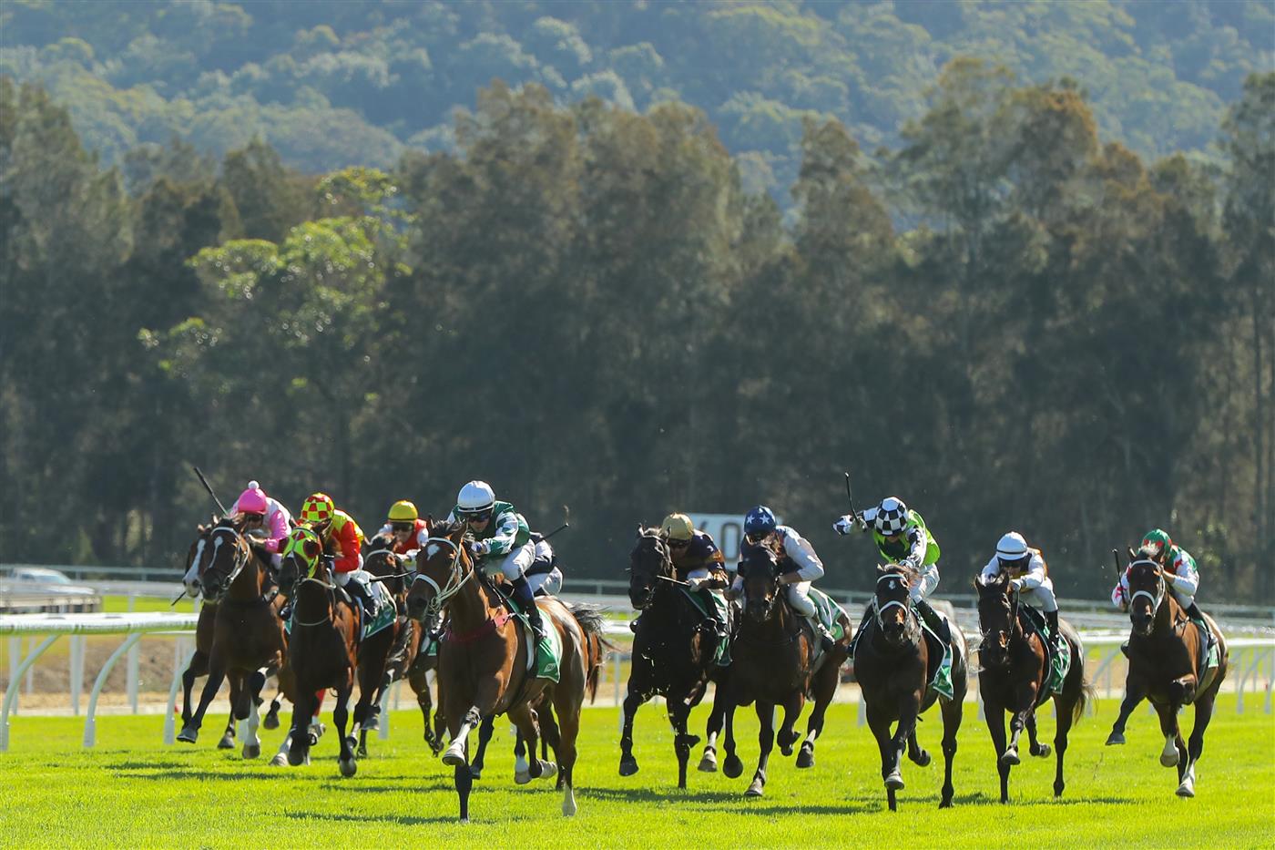 GOSFORD, AUSTRALIA - MAY 06: Kerrin Mcevoy riding Hometruths 
 wins Race 5 Prestige Wedding Hire during "Gosford Gold Cup" - Sydney Racing at Gosford Racecourse on May 06, 2023 in Gosford, Australia. (Photo by Jeremy Ng/Getty Images)