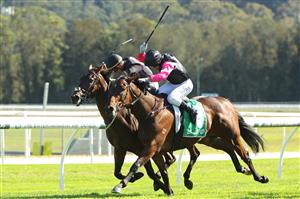 GOSFORD, AUSTRALIA - MAY 06: Brett Prebble riding  Token Capitalist wins Race 4 Tooheys during "Gosford Gold Cup" - Sydney Racing at Gosford Racecourse on May 06, 2023 in Gosford, Australia. (Photo by Jeremy Ng/Getty Images)