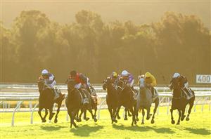 Gosford Highlights
